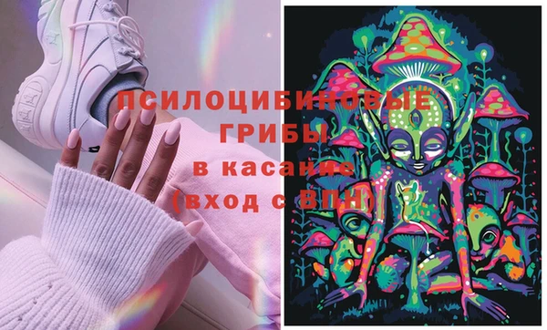амф Заволжье